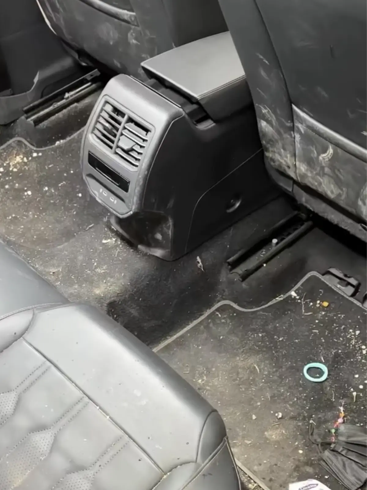 limpeza de automóvel hf estetica automóvel